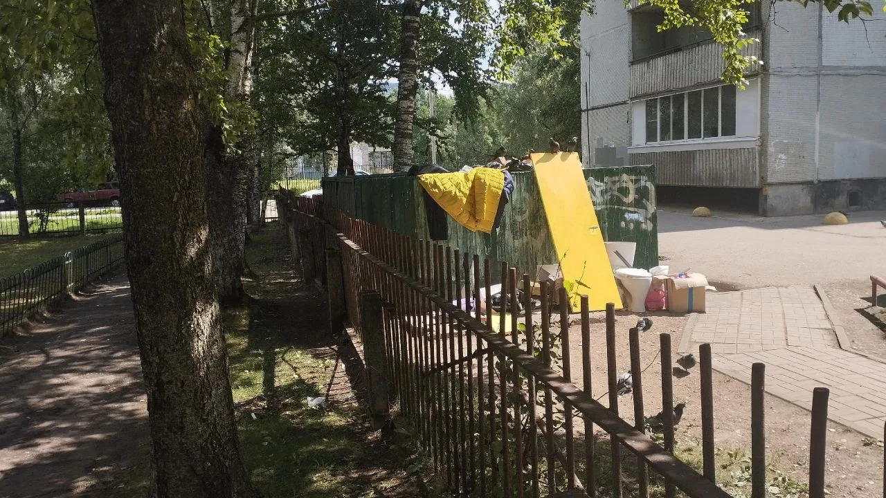 От подписчика: