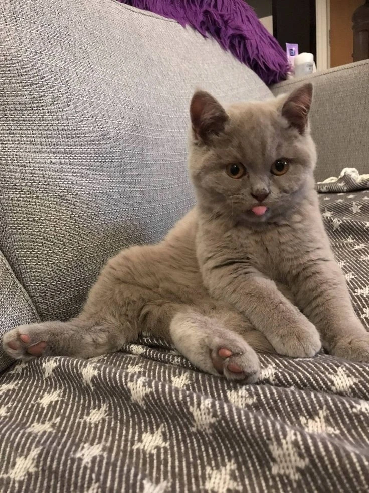 Милоты в ленту 💖