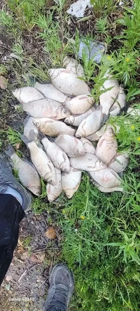Хабаровский край.
Ведро за 4 часа 31 км