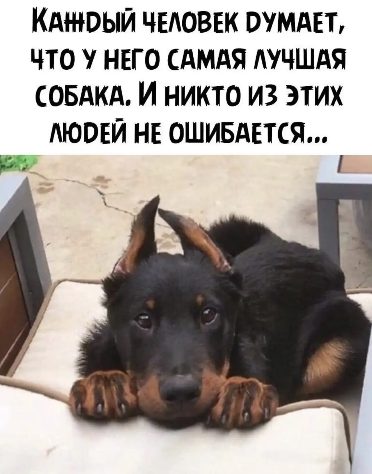 Девчата - Подписаться