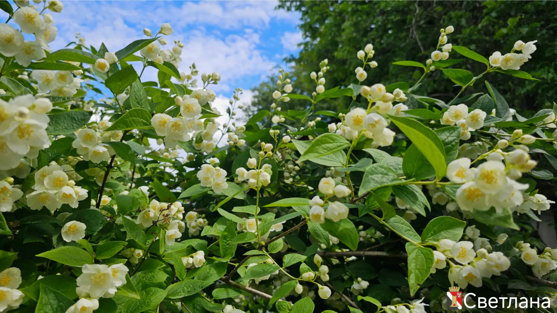 🌿С новым днём!