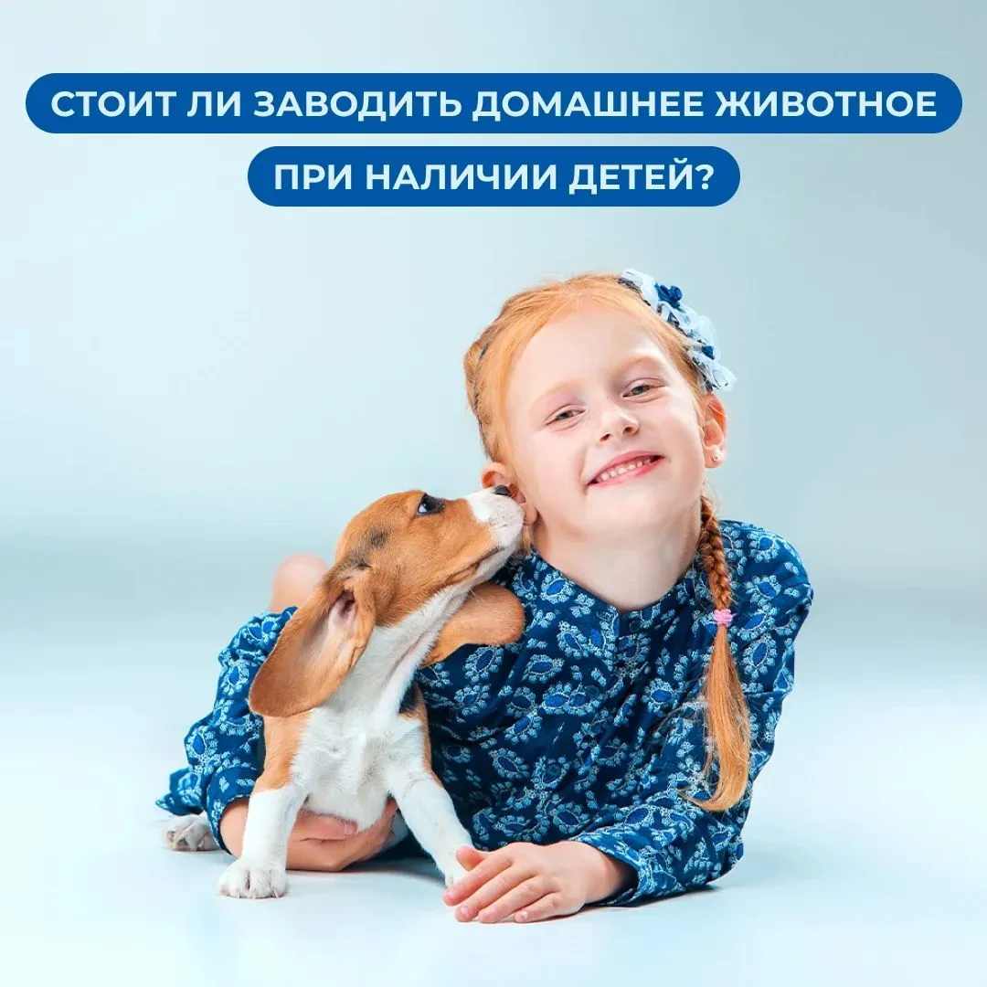 Не секрет, что домашний питомец – мечта многих детей. Однако появление в доме животного...