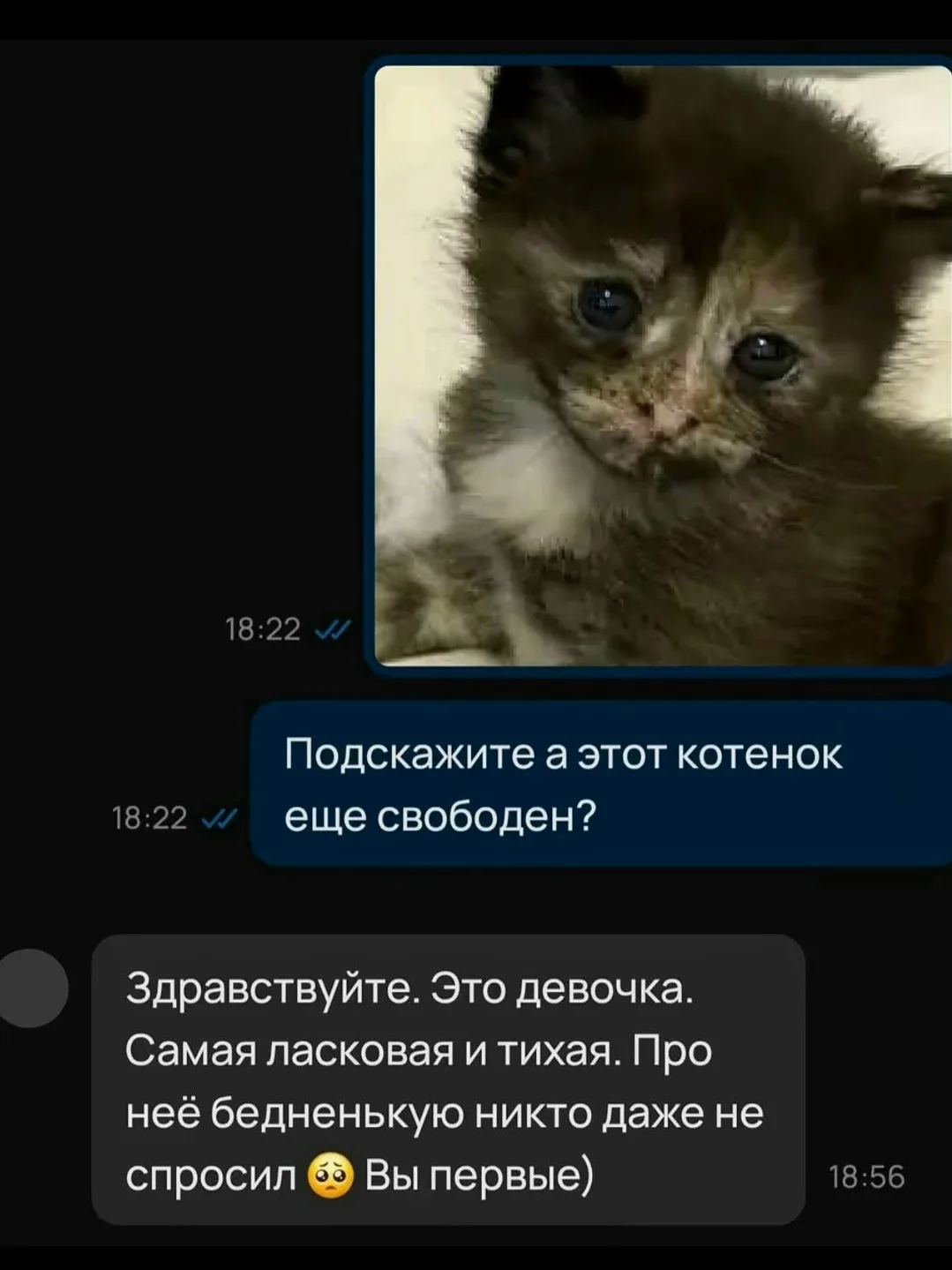 Опять зашёл в интернет, чтобы плакать