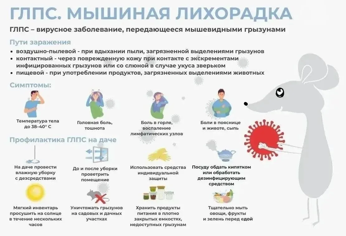🏡 Открываем лето безопасно: как защитить себя от «мышиной лихорадки» (ГЛПС)?
 
Начало лета — время 