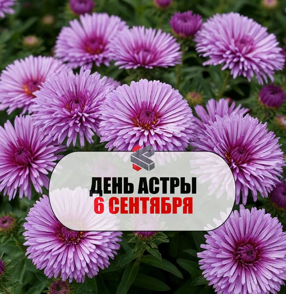 #такойсегодняпраздник