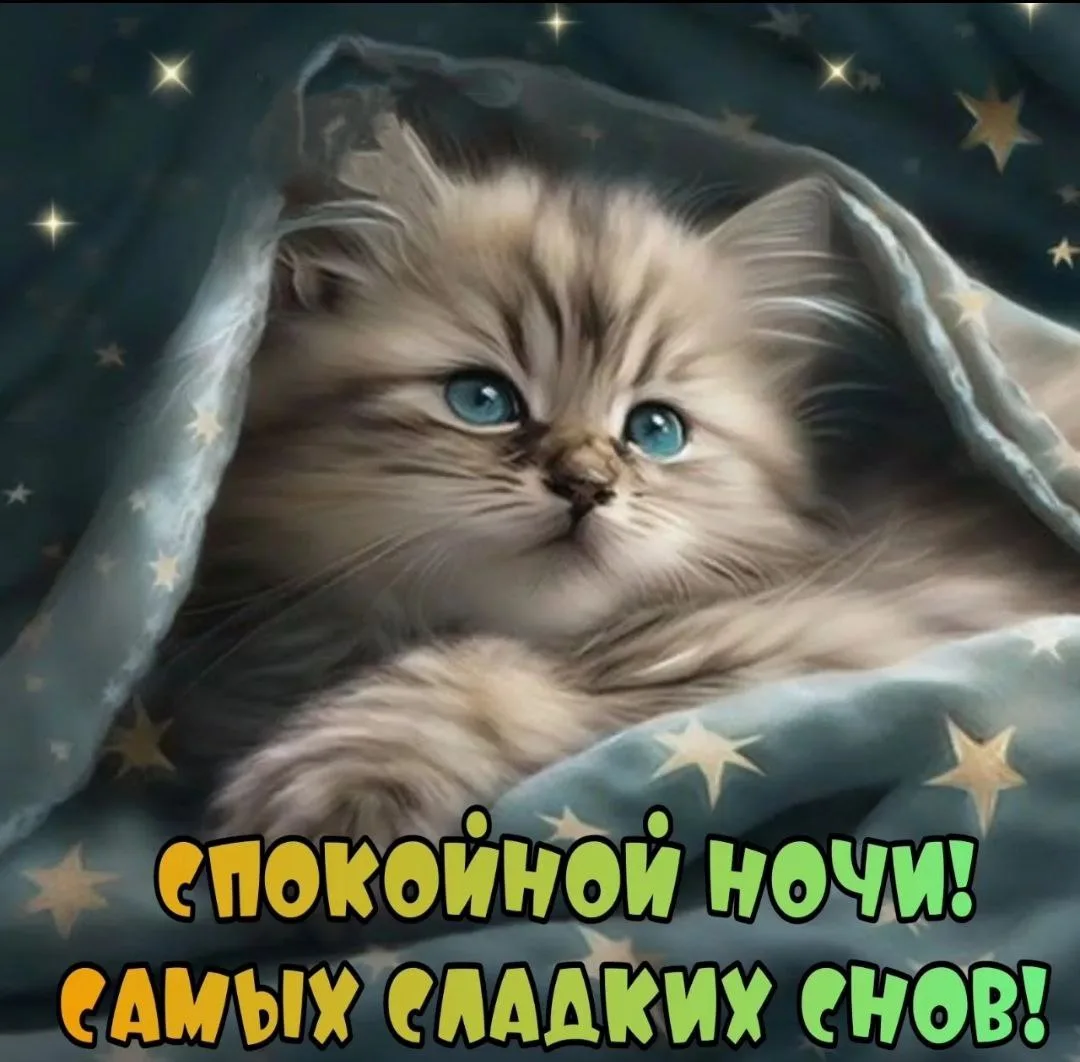 ~~~~~~~~~~~~~~~~~~~