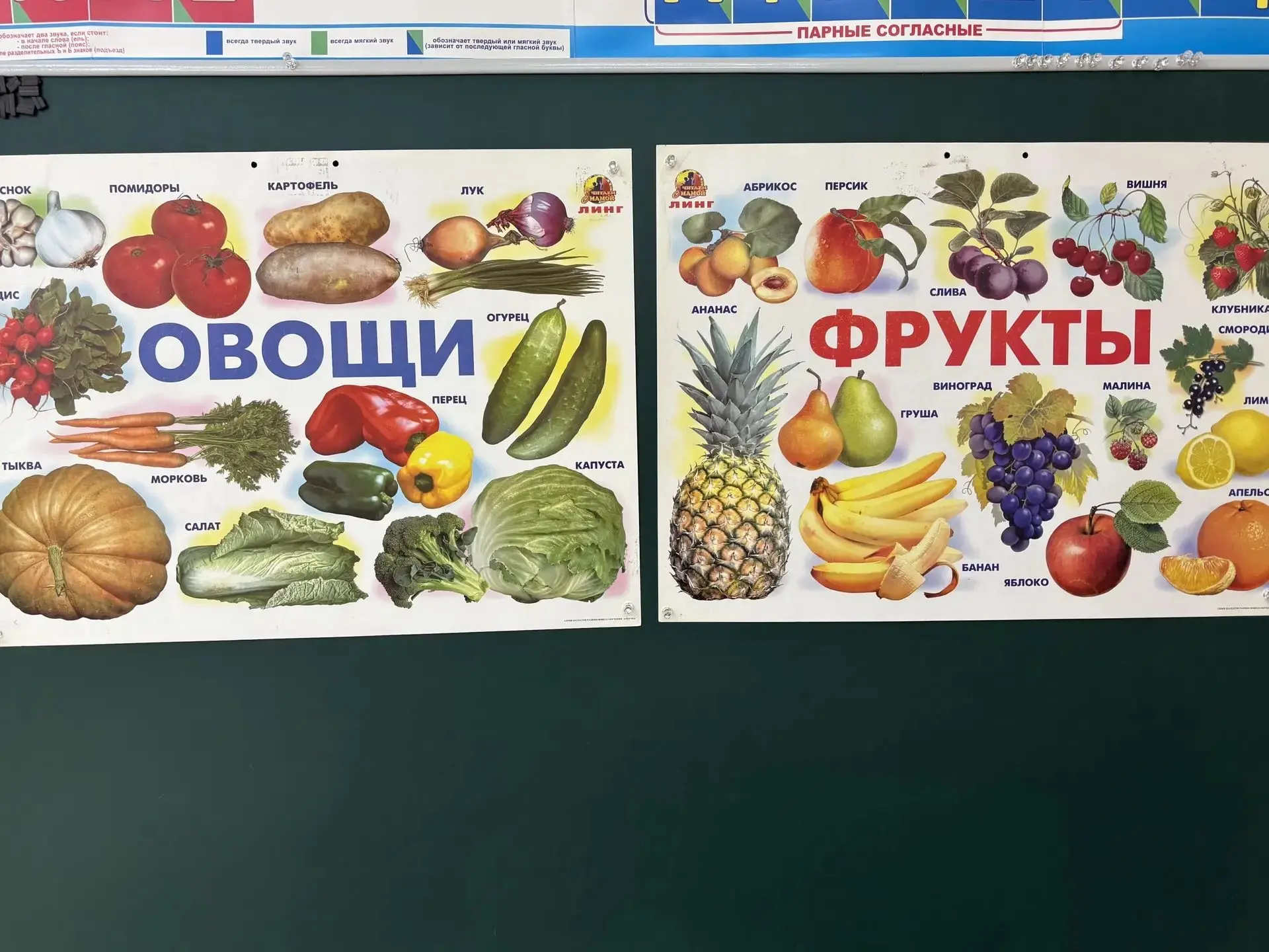 🥕 Витаминный старт! 🍎