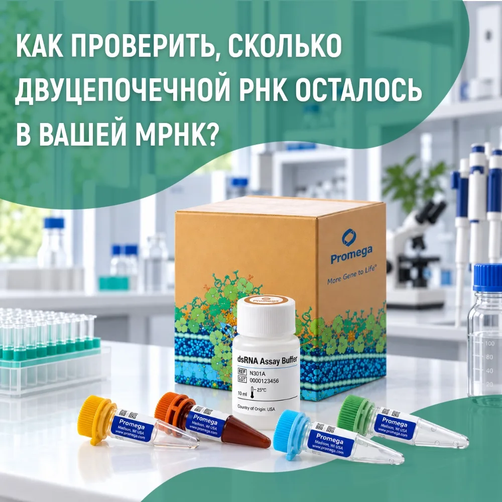 ✅Синтез мРНК закончен. Теперь нужно проверить результат очистки.