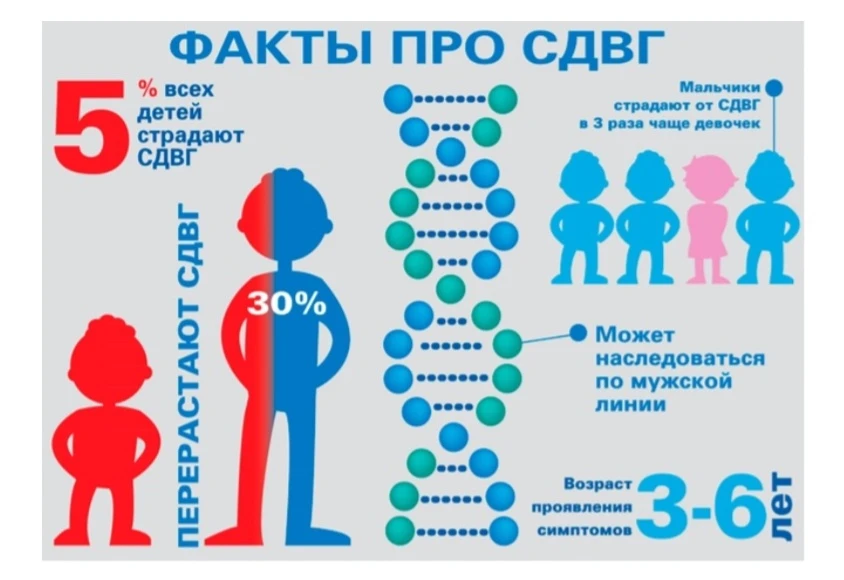 Как мы обучаем детей с СДВГ.