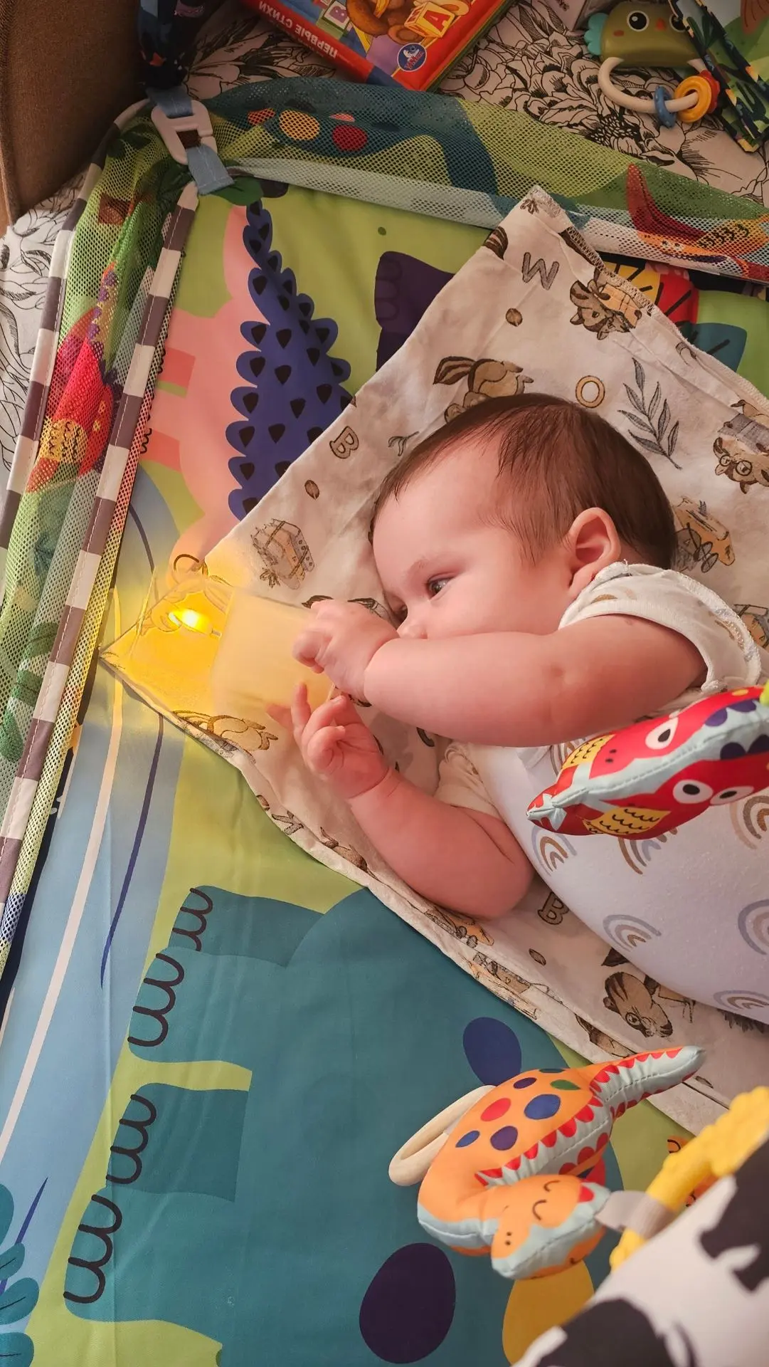 Енисей
26 июля уже 4 месяца🙏🤗🤗🤗🥳
Бассейн делает своё дело🙏начал крутить головой в разные сторо