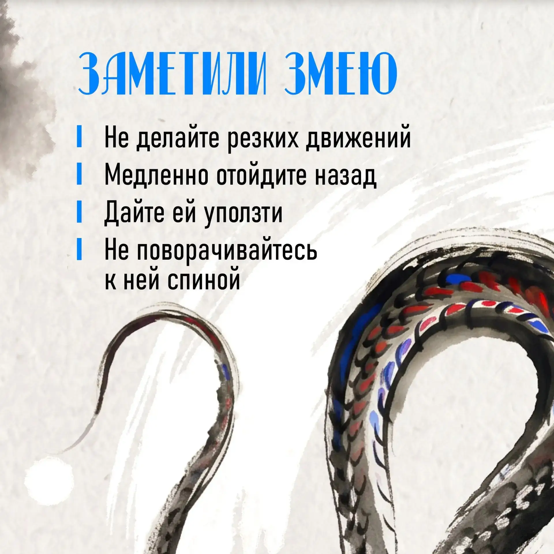 Как вести себя при встрече со змеёй🐍