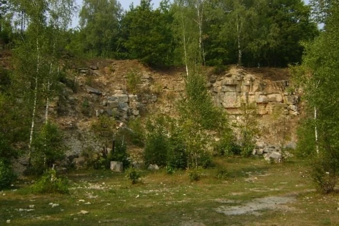 Скальники, Венёв-Монастырь, Тульская область

Скальники находятся на самом живописном участке верхне