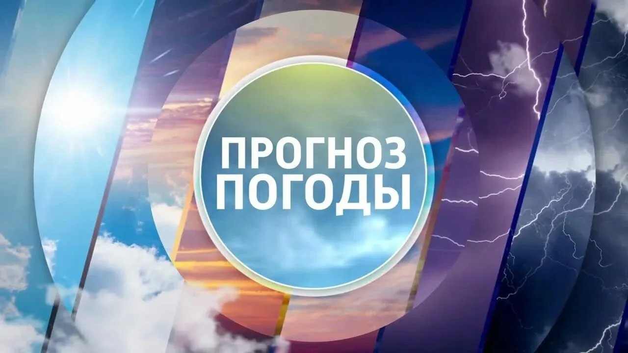 На 08:00 02.10.26 г. температура воздуха в с. Илек +6,2°С, ветер северо-западный 3-6 м/с.