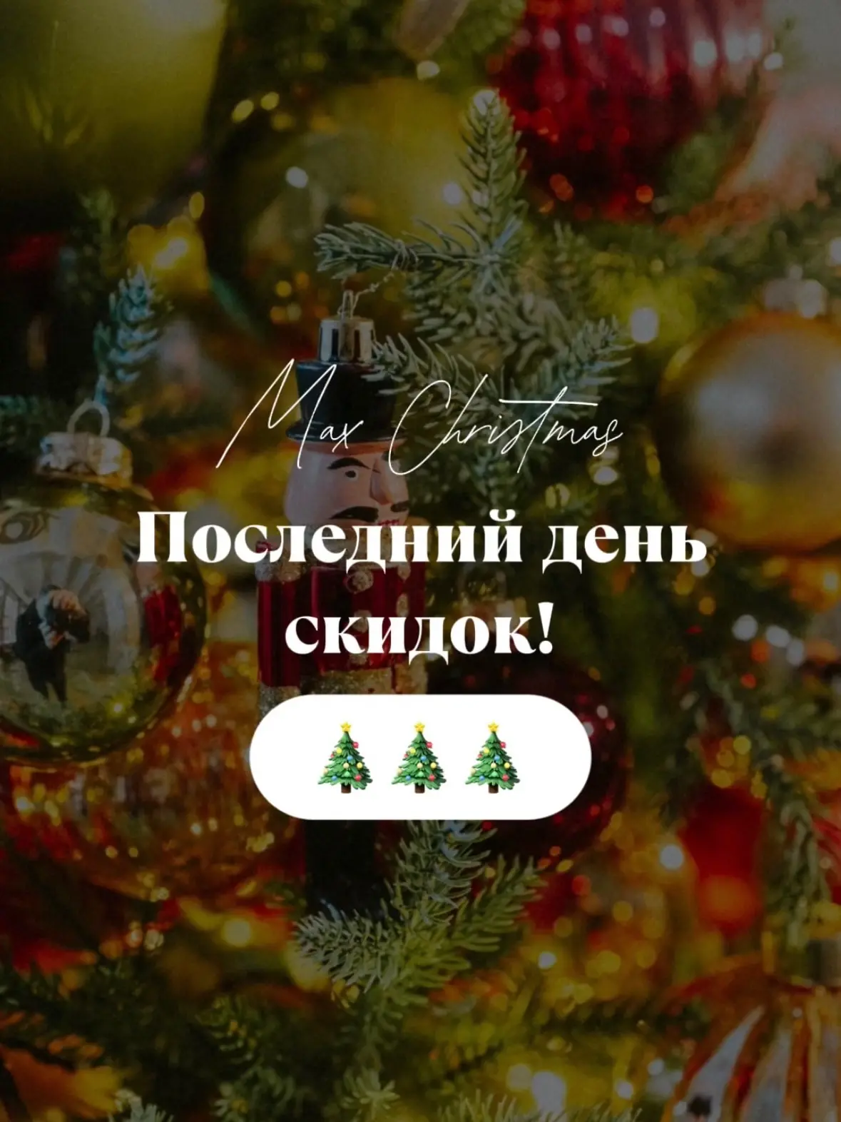 ❗️❗️❗️Последний шанс купить ель по летней цене!