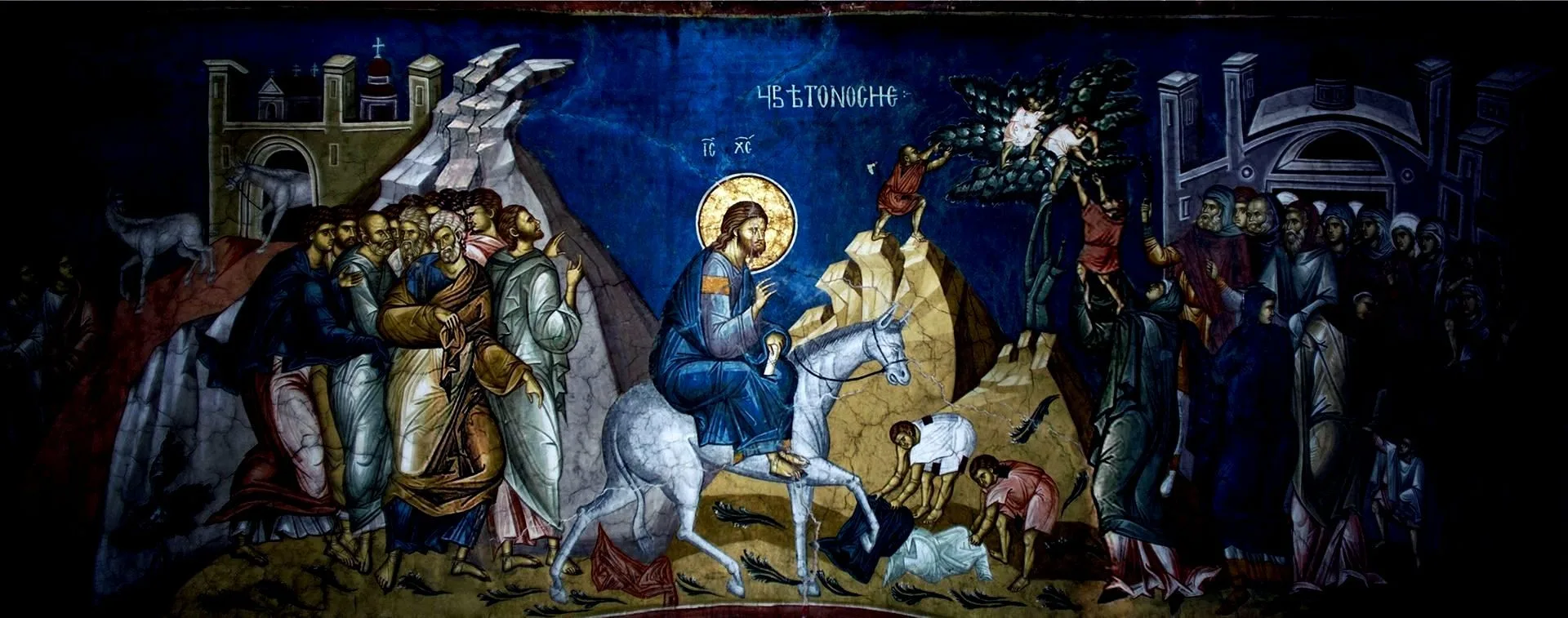 Христос посреди нас, дорогие братья сестры! Вход Господень в Иерусалим: мы с Ним вошли в этот святой