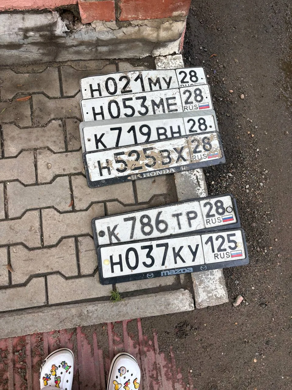 Чьи потеряшки