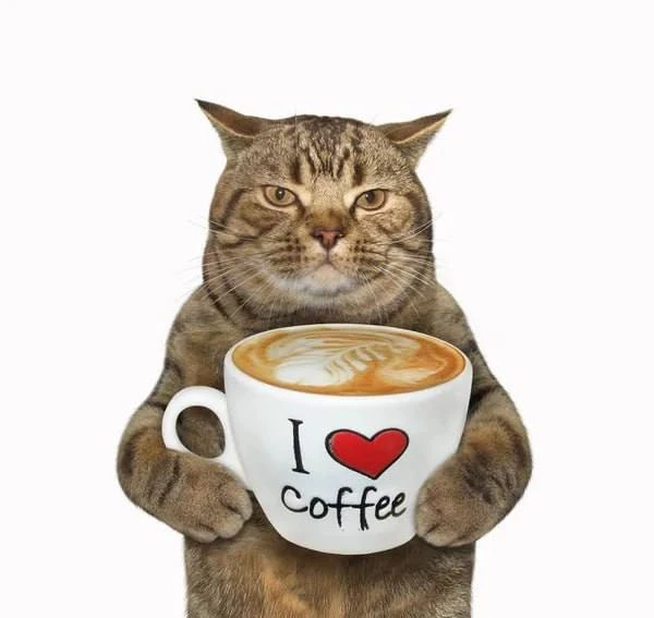 ☕️Международный день кофе отмечается сегодня