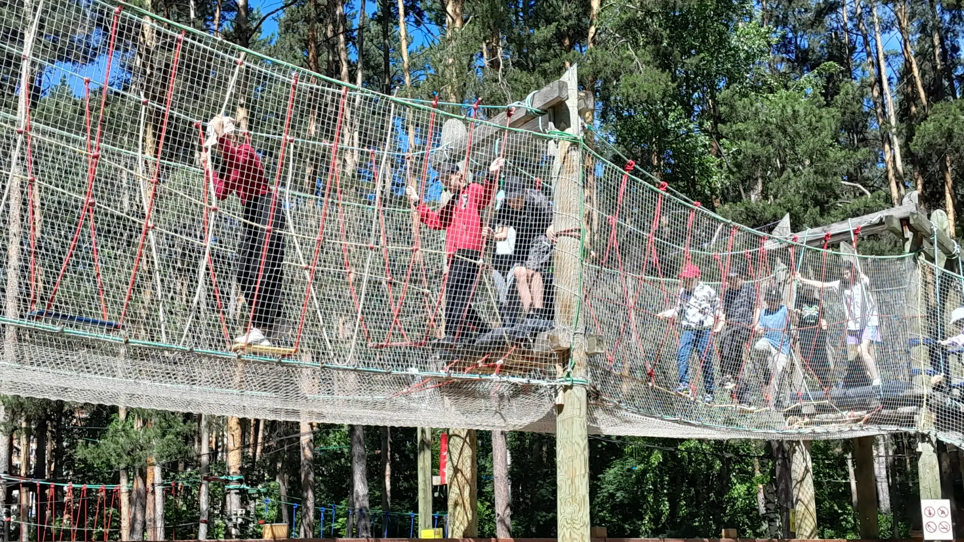 #ЛОЛ_СолнечнаяПоляна