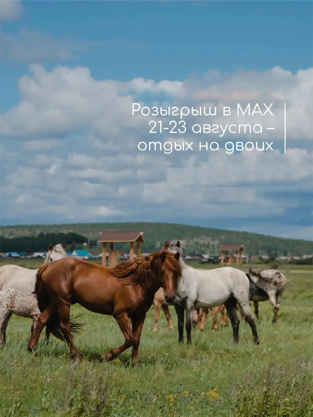 Сегодня определим победителя