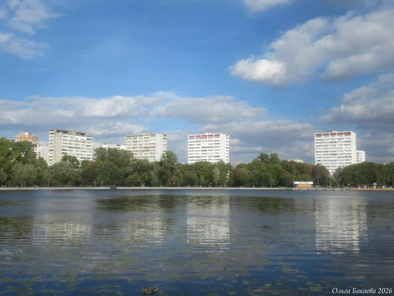 А на прудах, тем временем, всё ещё царит летняя атмосфера.
