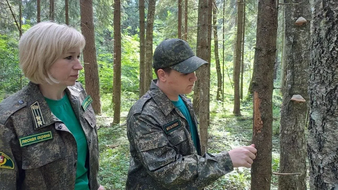Вот и прошел Всероссийский юниорский лесной конкурс «Подрост» в Рослесхозе — это масштабное мероприя