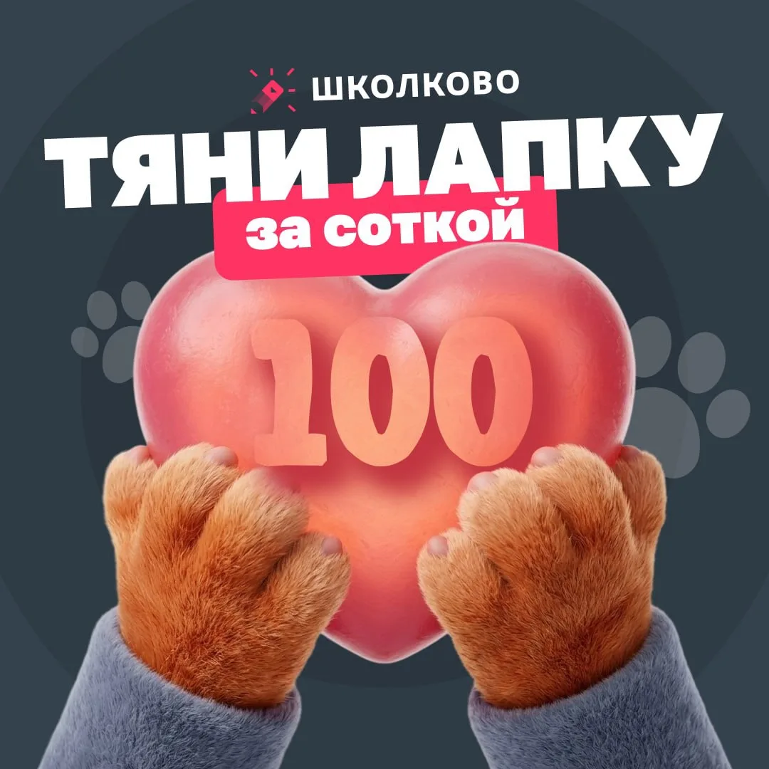 Просто утреннее напоминание, что у тебя все получится! 

Я и самая лучшая команда учителей Школково 
