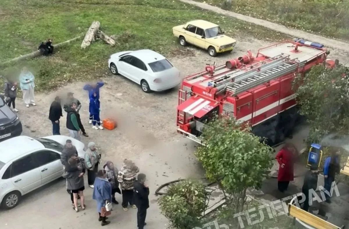 Пожар в Шварцевском потушили