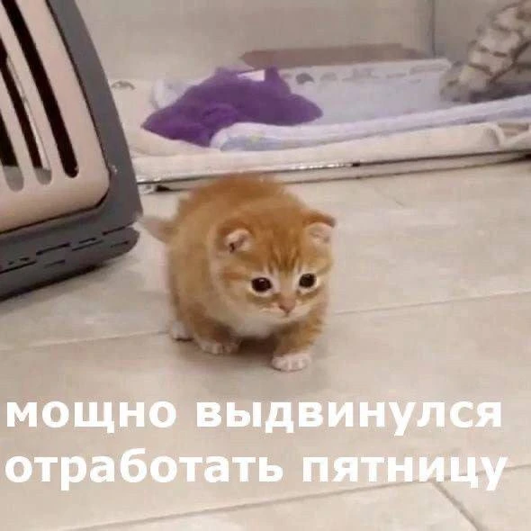 Утречка! Быстрой пятницы