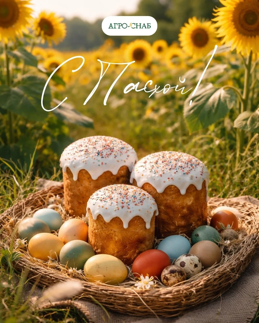 С Пасхой🕊️
