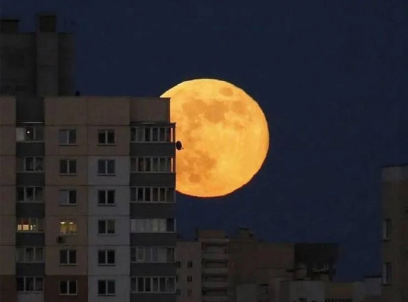 🌕 Жители Артёма и Приморья через 2 дня смогут наблюдать в небе так называемую «Осетров...