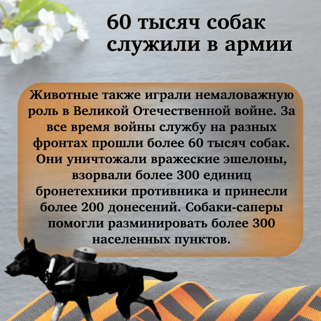 🕯️ Великая Отечественная Война - одно из самых трагичных событий прошлого века. Она оставила неизгла