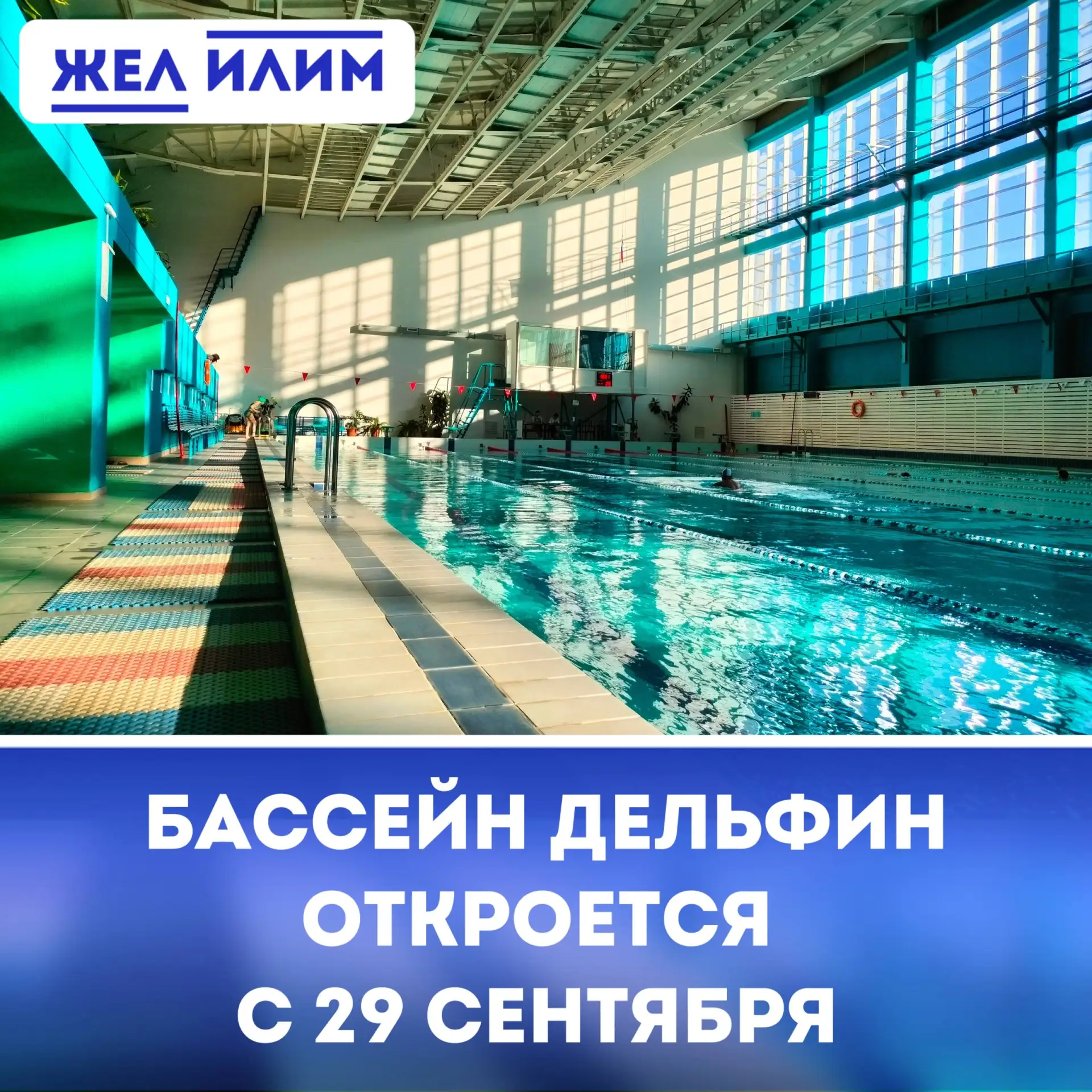 🏊‍♂️ Бассейн «Дельфин» открывает новый сезон после завершения профилактических работ
