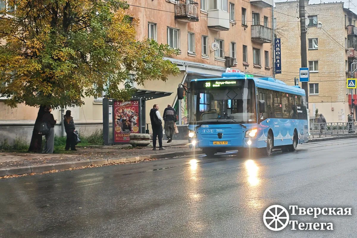 Новые автобусы на дорогах Твери 🚍