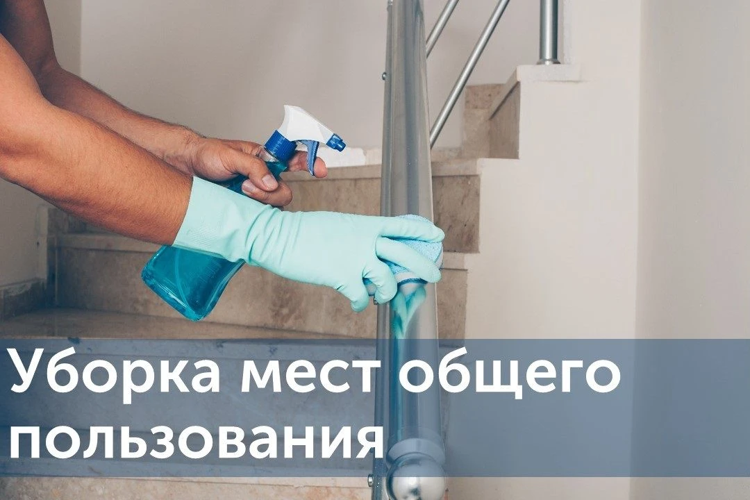 Чистота в подъезде — это не только вопрос эстетики, но и важный аспект санитарной безоп...