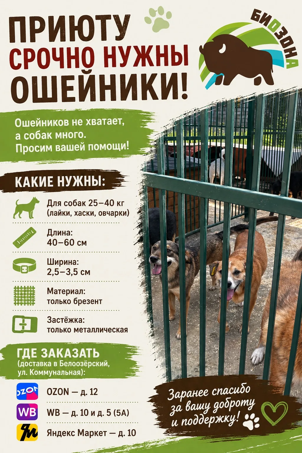 Приюту срочно нужны ошейники!