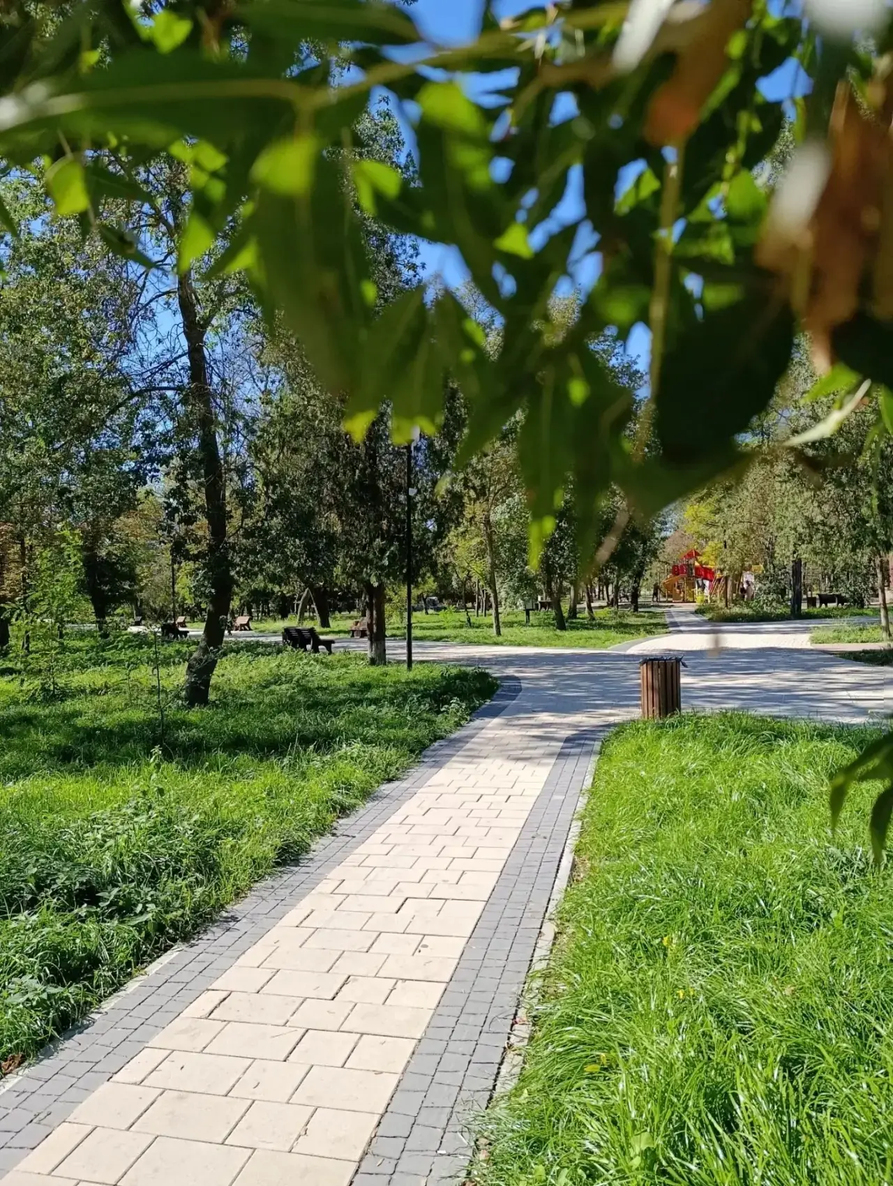 Джанкой. Какая красота😍💓