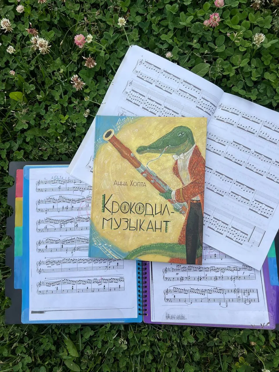 "Крокодил-музыкант" -- покорит Ваши сердца!

Вы встречали крокодила, который умеет играть на фаготе?