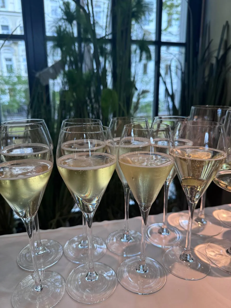 🥂 ERWIN.Павильон.Патрики — воскресный бранч