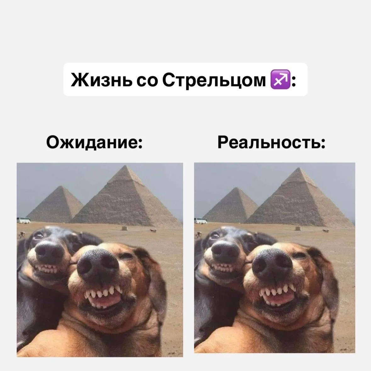 Жизнь со знаками зодиака, часть 2  Если согласны с постом, оставляйте реакцию ❤️  Астрология | Подпи