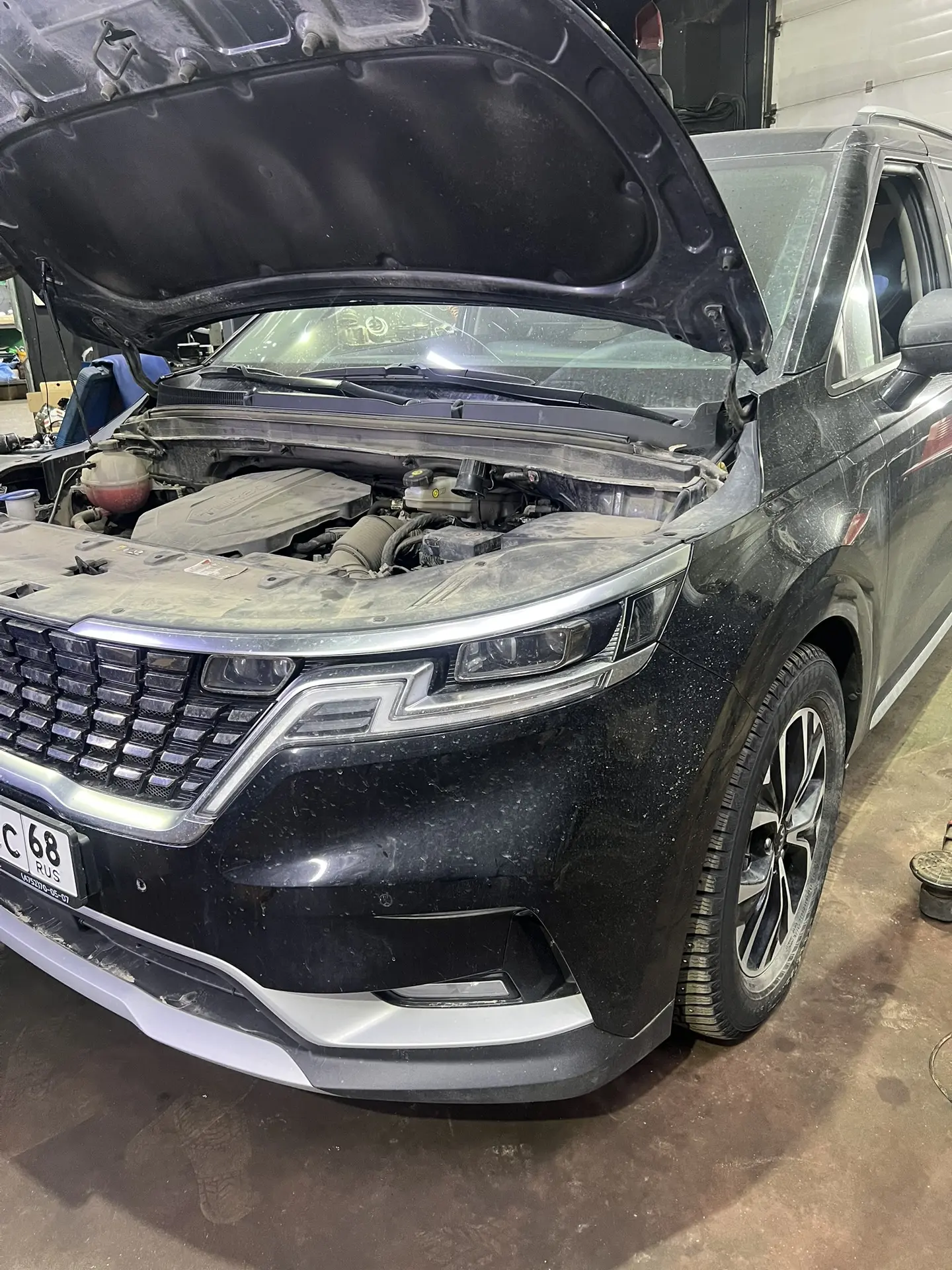 Kia carnival 4