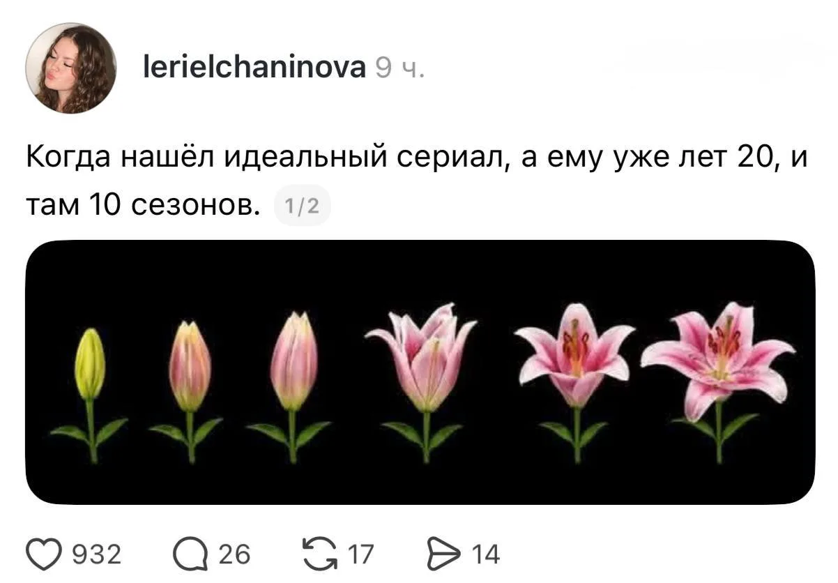 Звучит как идеальный план на вечер 😊