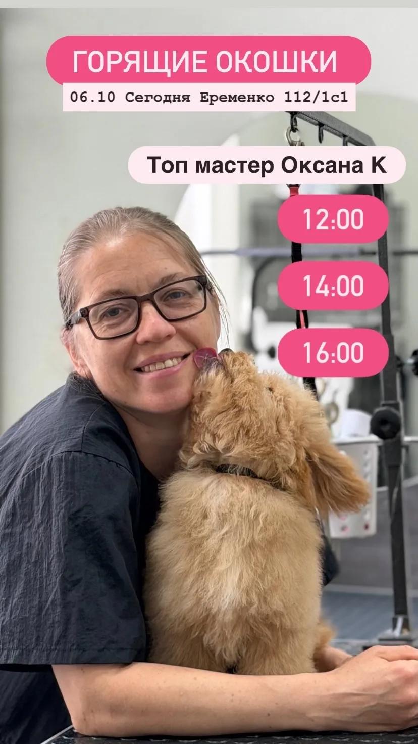 Горящие окошки на СЕГОДНЯ  🐶🐾