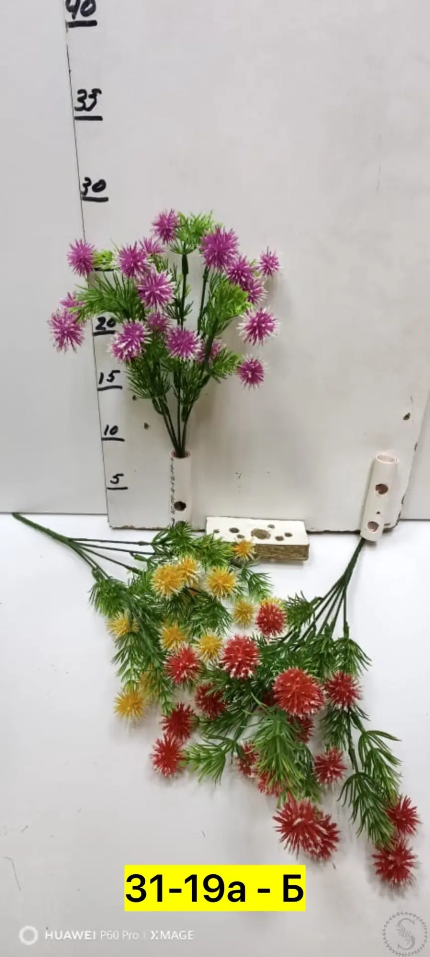 https://vk.com/photo-184814919_493609388