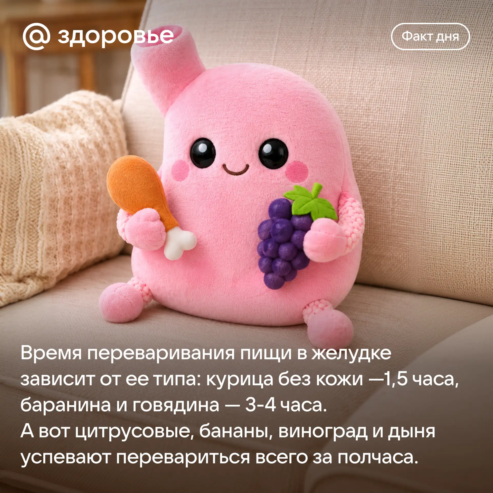Хорошего дня! 🥰