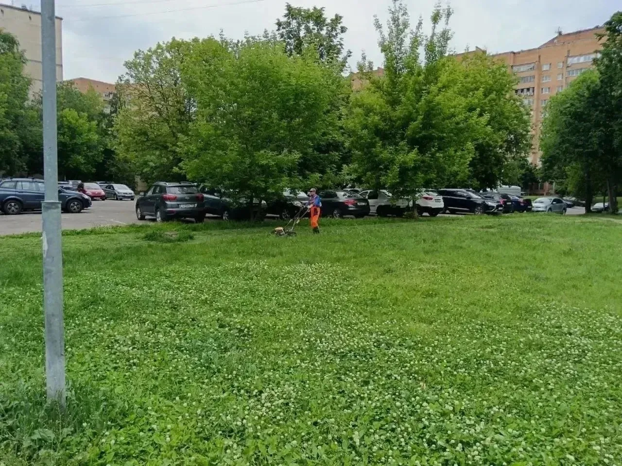 🌿 В Отрадном продолжается покос газонов во дворах и парках

В районе ведутся работы по покосу травы