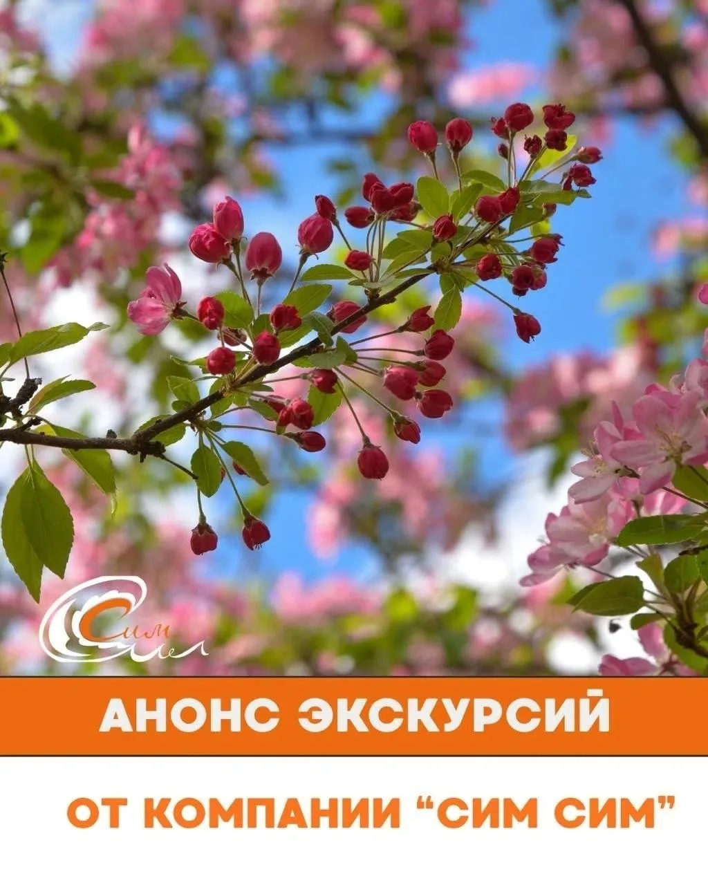 🌻АНОНС ЭКСКУРСИЙ НА АВГУСТ
🍃Прогулка на теплоходе. Экскурсионный рейс
  📆пт, сб, вс
  ⏰13:30 – 15