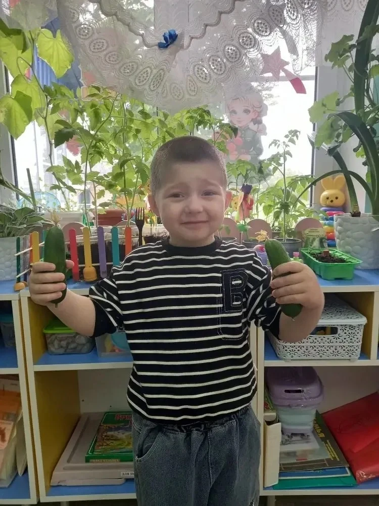 🍅🌶️🌾Посадили огород,