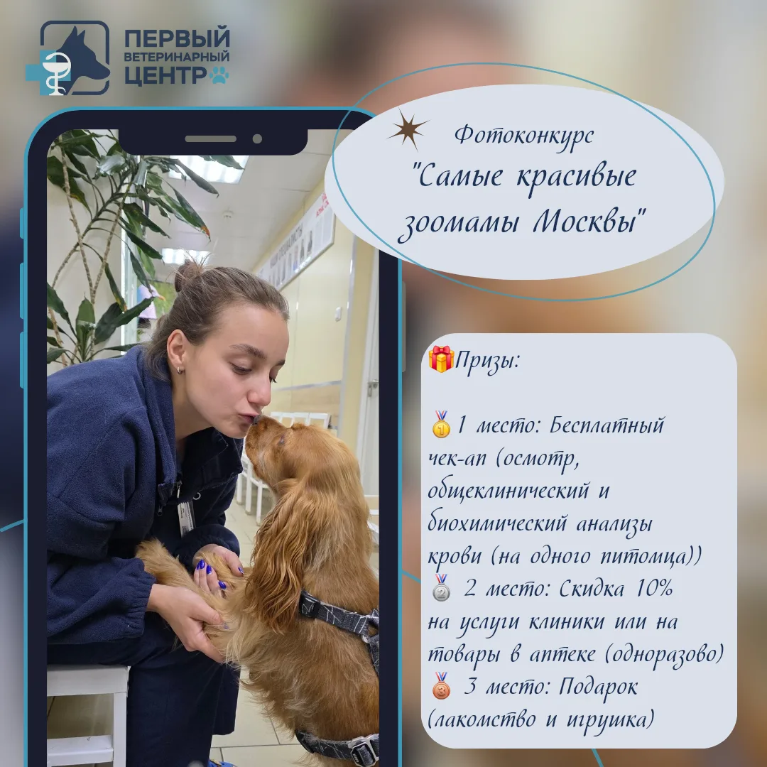 📸 ФОТОКОНКУРС: Самые красивые зоомамы Москвы!