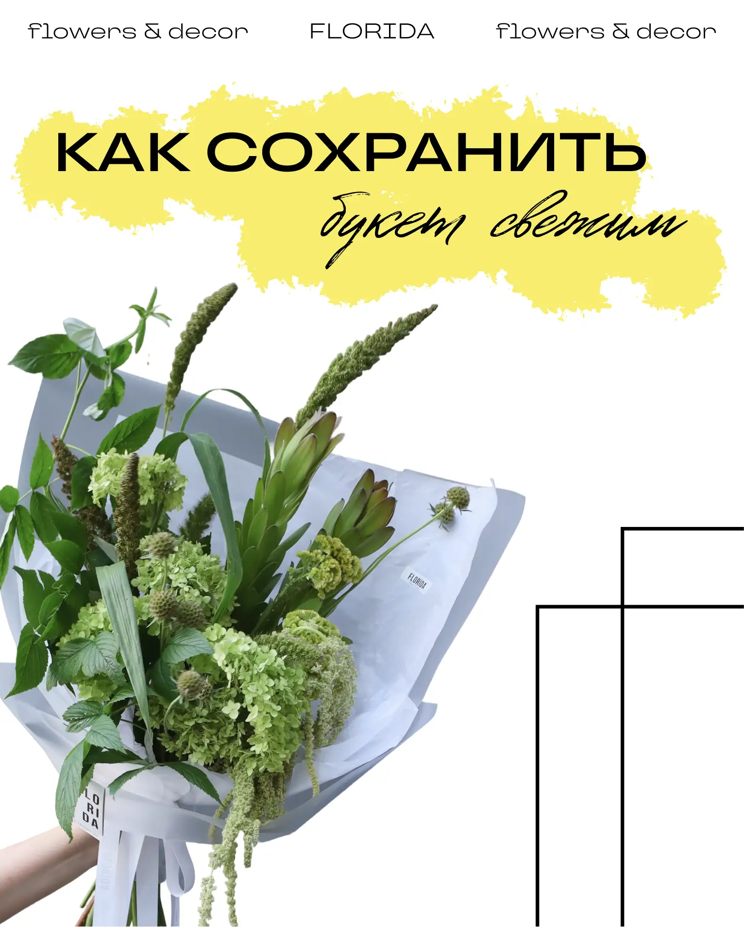 [ Как сохранить букет свежим? ]

Актуальный вопрос = простые  рекомендации от наших флористов 

Лист