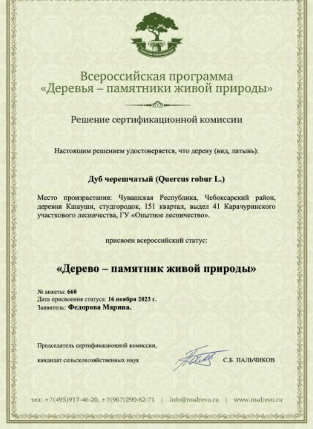 🌿 ДУБ ИЗ ЧУВАШИИ МОЖЕТ СТАТЬ «ГЛАВНЫМ ДЕРЕВОМ РОССИИ — 2026»!
